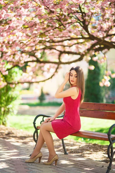 Hermosa chica posando para el fotógrafo. Primavera. Sakura. . —  Fotos de Stock