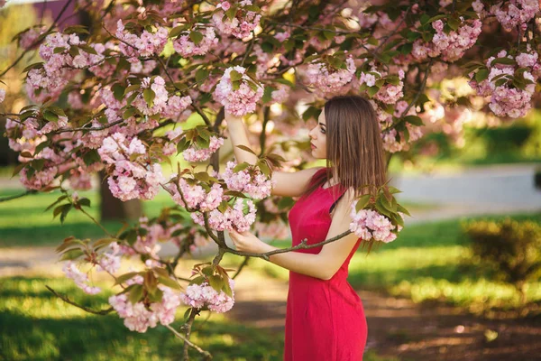 Bella ragazza in posa per il fotografo. Primavera. Sakura . — Foto Stock