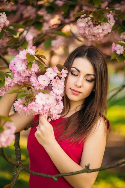 아름 다운 소녀는 사진 포즈입니다. 봄입니다. 사쿠라. — 스톡 사진