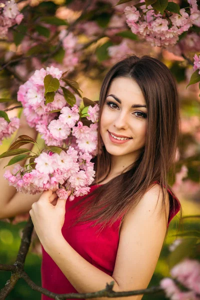 Hermosa chica posando para el fotógrafo. Primavera. Sakura. . —  Fotos de Stock