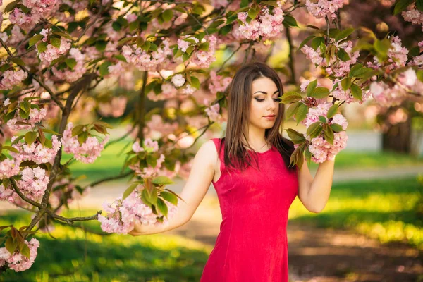 Güzel kız fotoğrafçı için poz. Bahar. Sakura. — Stok fotoğraf