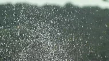 Çeşme parkta sprey. Parlama ve Bokeh sprey dan