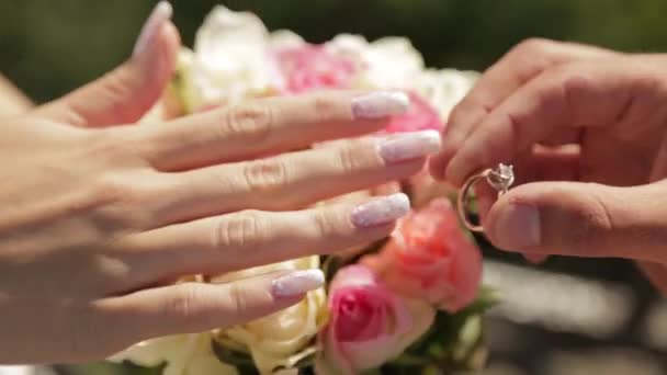 Propuesta romántica de matrimonio. Anillo de boda y rosas . — Vídeo de stock