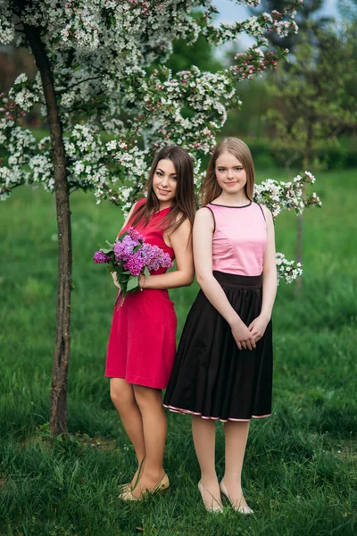 Due sorelle in posa per il fotografo. Affascinante e bella ragazza sorridente. Alberi da fiore. Primavera. Sakura . — Foto Stock