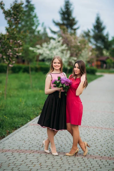 Due sorelle in posa per il fotografo. Affascinante e bella ragazza sorridente. Alberi da fiore. Primavera. Sakura . — Foto Stock