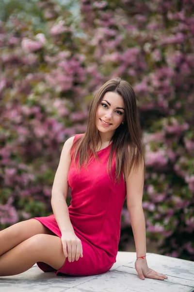 Gyönyörű lány pózol, hogy a fotós, a háttérben a virágzó rózsaszín fák. Tavaszi. Sakura. — Stock Fotó