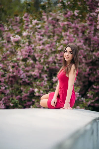 Bella ragazza in posa per il fotografo sullo sfondo di alberi rosa in fiore. Primavera. Sakura . — Foto Stock