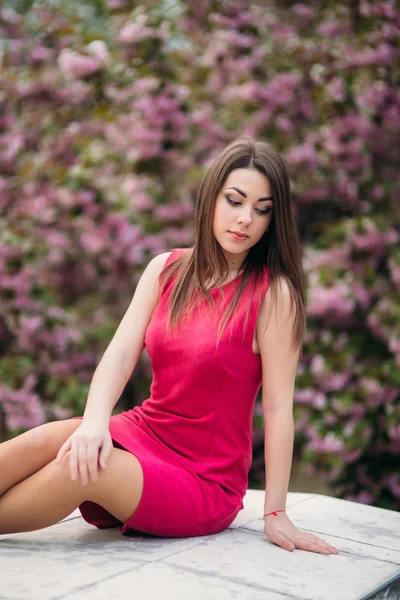 Hermosa chica posando para el fotógrafo sobre el fondo de los árboles rosados florecientes. Primavera. Sakura. . —  Fotos de Stock