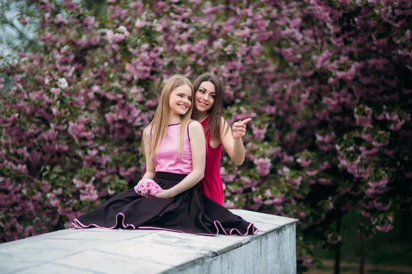 두 자매는 사진 작가 대 한 포즈입니다. 매력적이 고 예쁜 여자 미소입니다. 꽃 나무입니다. 봄입니다. 사쿠라. — 스톡 사진