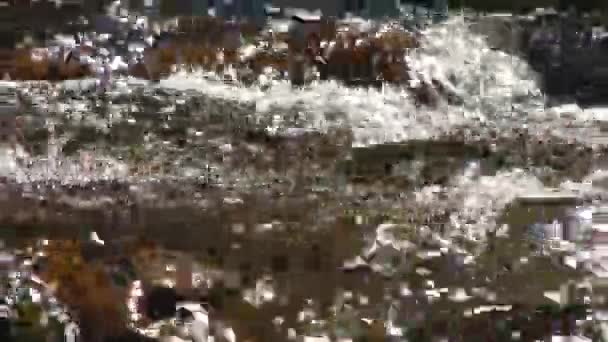 Mountain River water flowing on the stones. Forest. Splatter. — Stock Video