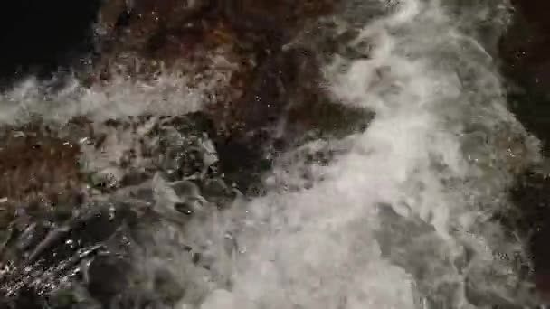 Górskie rzeki wody płynącej na kamieniach. Lasu. Bryzg. — Wideo stockowe