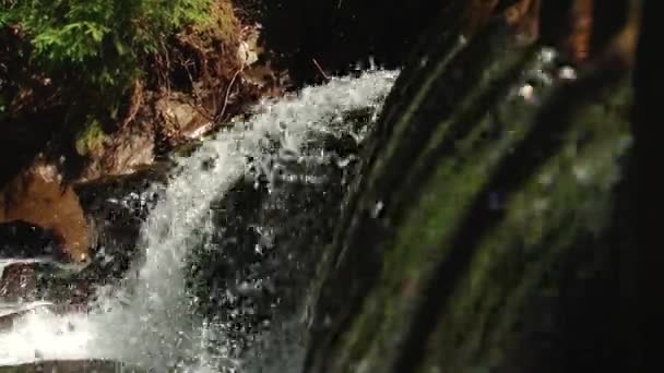 Agua del río Montaña fluyendo sobre las piedras. Bosque. Salpicadura . — Vídeo de stock