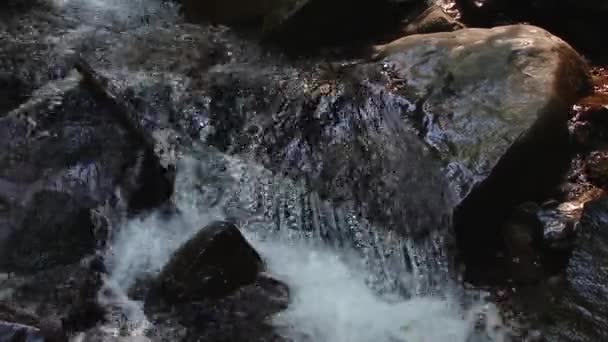 Horská řeka vody tekoucí na kamenech. Les. Postříkat. — Stock video