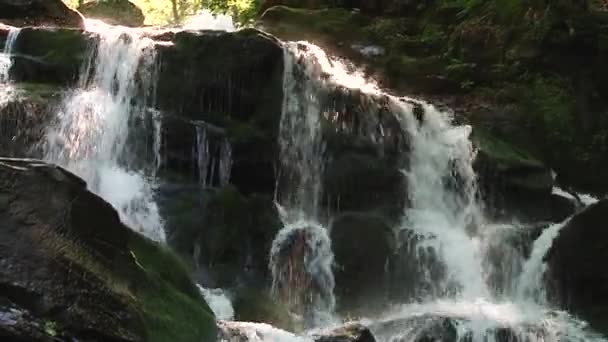 Gebirgsflusswasser, das auf den Steinen fließt. Wald. Splatter. — Stockvideo