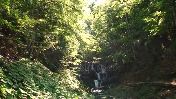 Berg rivier water stroomt op de stenen. Bos. Splatter. — Stockvideo