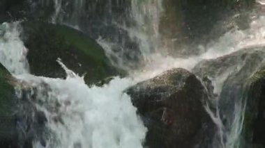 Dağ nehir taşları üzerine akan su. Orman. Sıçramak.