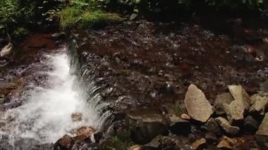 Dağ nehir taşları üzerine akan su. Orman. Sıçramak.