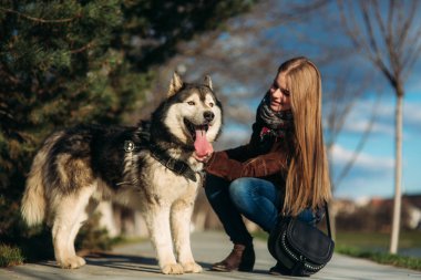 Bir kız ile bir köpek set boyunca yürüyor. Güzel Husky köpek. Nehir. Bahar.