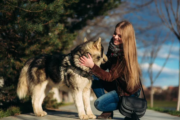 Ein Mädchen geht mit einem Hund die Böschung entlang. schöner Husky-Hund. der Fluss. Frühling. — Stockfoto