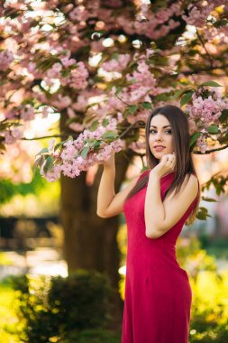 Güzel kız fotoğrafçı Pembe çiçek açan arka planı ağaçlar için poz. Bahar. Sakura.