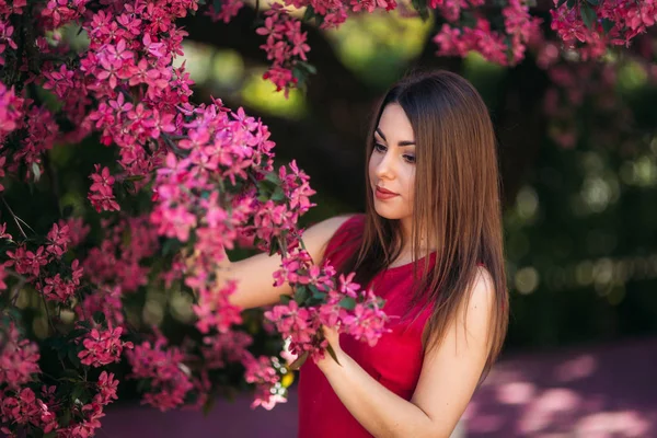 Gyönyörű lány pózol, hogy a fotós, a háttérben a virágzó rózsaszín fák. Tavaszi. Sakura. — Stock Fotó