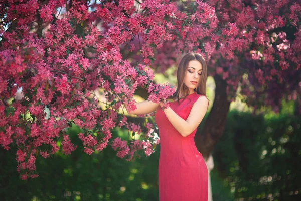 Hermosa chica posando para el fotógrafo sobre el fondo de los árboles rosados florecientes. Primavera. Sakura. . —  Fotos de Stock