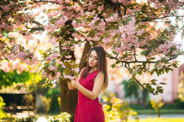 Gyönyörű lány pózol, hogy a fotós, a háttérben a virágzó rózsaszín fák. Tavaszi. Sakura. — Stock Fotó