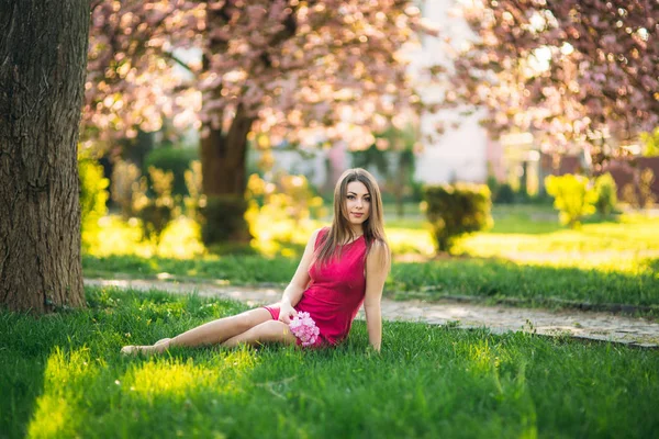 아름 다운 소녀 핑크 피의 배경 사진에 포즈. 봄입니다. 사쿠라. — 스톡 사진