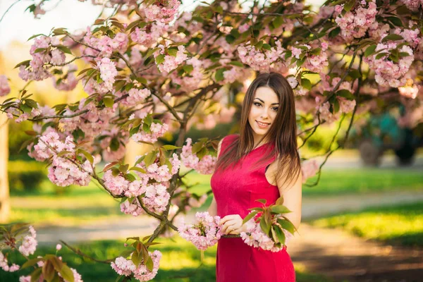 Güzel kız fotoğrafçı Pembe çiçek açan arka planı ağaçlar için poz. Bahar. Sakura. — Stok fotoğraf