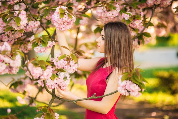 Bella ragazza in posa per il fotografo sullo sfondo di alberi rosa in fiore. Primavera. Sakura . — Foto Stock