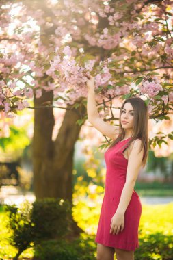 Genç kız bir fotoğraf için poz. Pembe çiçekli ağaçlar içinde belgili tanımlık geçmiş. Bahar. Sakura.
