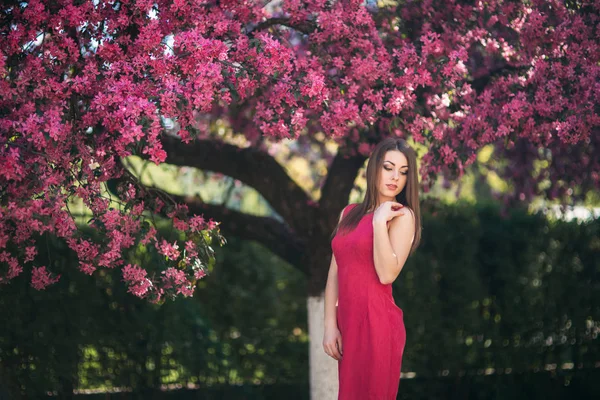 사진을 위해 포즈를 취하는 어린 소녀. 백그라운드에서 분홍색 꽃 나무입니다. 봄입니다. 사쿠라. — 스톡 사진
