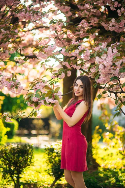 Menina posando para uma foto. Floração de árvores cor-de-rosa no fundo. Primavera. Sakura. . — Fotografia de Stock