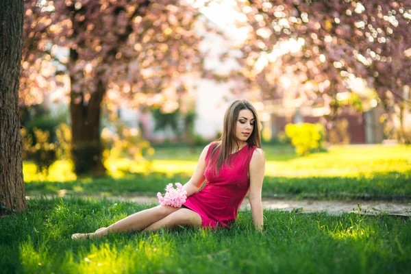 Молода дівчина позує на фото. Квітучі рожеві дерева на задньому плані. Весна. Сакура . — стокове фото