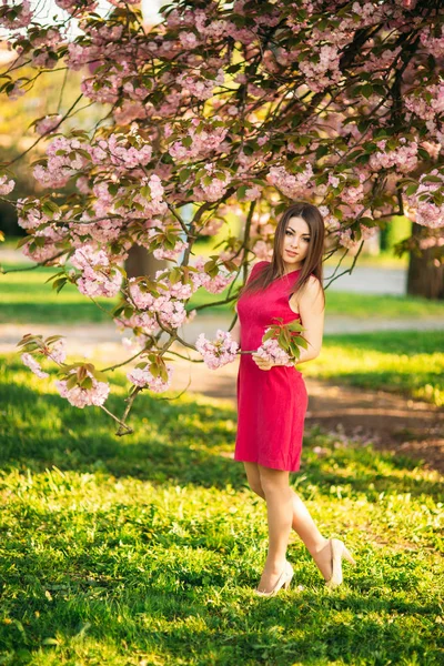 Junges Mädchen posiert für ein Foto. blühende rosa Bäume im Hintergrund. Frühling. sakura. — Stockfoto