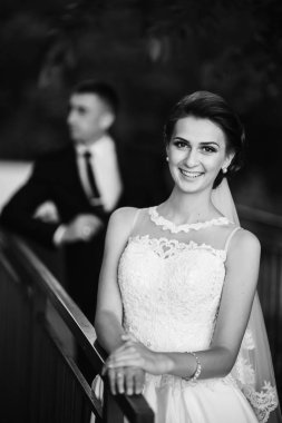 Güzel çift onların düğün günü parkta yürüyüş. Güneşli havalarda.