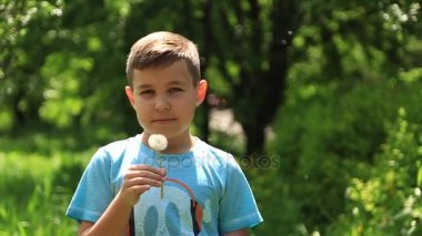 Bir karahindiba üfleme çizgili tişört içindeki küçük çocuk. Bahar, güneşli havalarda.
