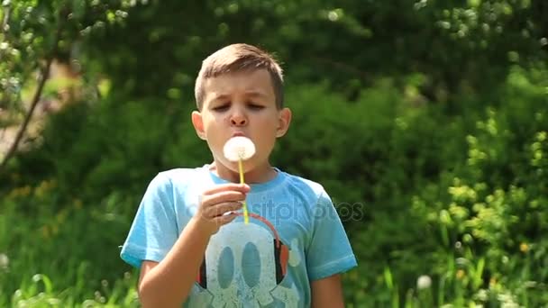 Kleiner Junge im gestreiften T-Shirt, der Löwenzahn bläst. Frühling, sonniges Wetter. — Stockvideo