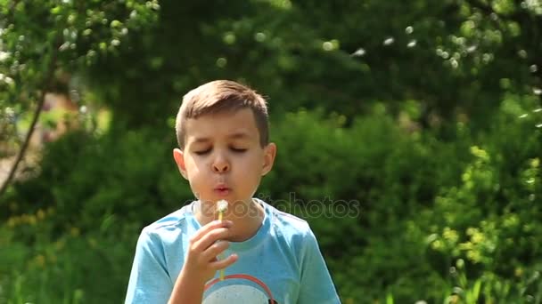 Mały chłopiec w T-shirt w paski dmuchanie dmuchawca. Wiosna, słoneczna pogoda. — Wideo stockowe