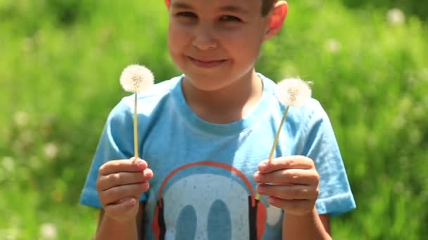 Little boy in a striped T-shirt blowing a dandelion.Spring, sunny weather. — Stock Video