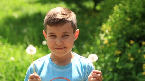 Malý chlapec v pruhovaném tričku, foukání pampeliška. Jaro, slunečné počasí. — Stock video