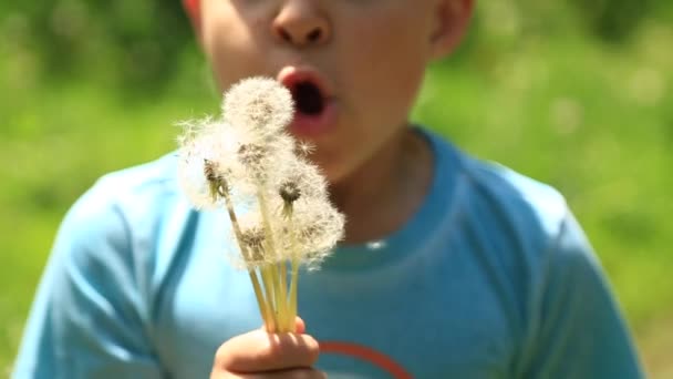 Jongetje in een gestreepte T-shirt blazen van een paardebloem. Lente, zonnig weer. — Stockvideo