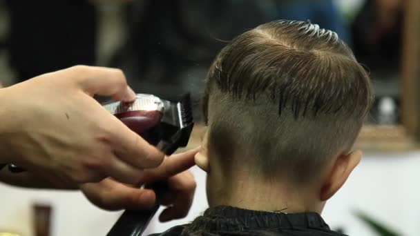 Pequeño chico consiguiendo corte de pelo por peluquero mientras está sentado en silla en la barbería . — Vídeos de Stock