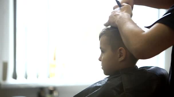 Pequeño chico consiguiendo corte de pelo por peluquero mientras está sentado en silla en la barbería . — Vídeo de stock