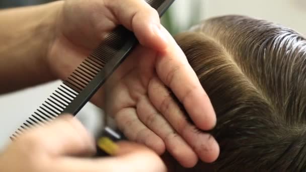 Pequeño chico consiguiendo corte de pelo por peluquero mientras está sentado en silla en la barbería . — Vídeos de Stock