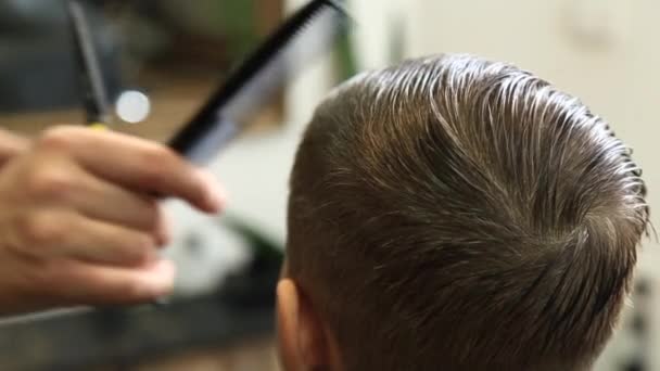 Pequeño chico consiguiendo corte de pelo por peluquero mientras está sentado en silla en la barbería . — Vídeo de stock