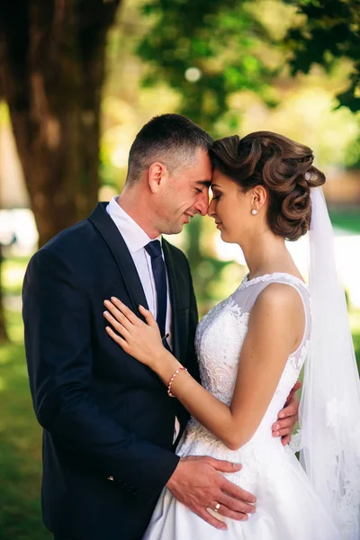 Bella coppia a piedi nel parco nel giorno del loro matrimonio. Tempo soleggiato . — Foto Stock