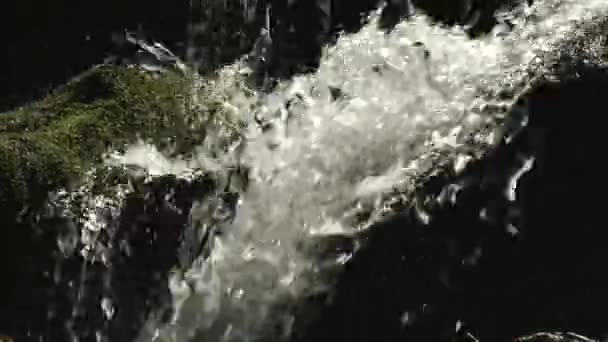 山の川の水は石の上を流れます。フォレスト。スプラッタ. — ストック動画