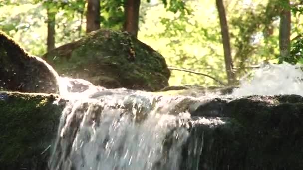 Dağ nehir taşları üzerine akan su. Orman. Sıçramak. — Stok video