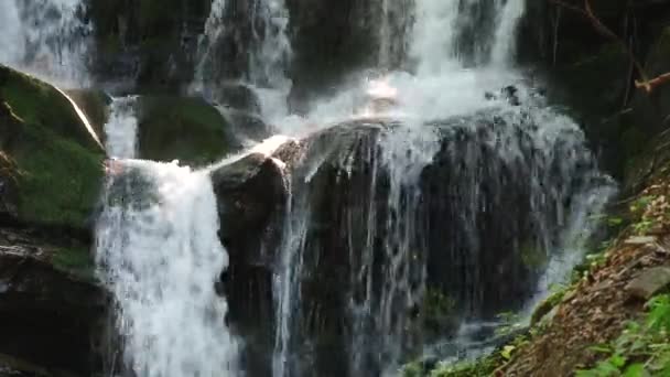 Berg rivier water stroomt op de stenen. Bos. Splatter. — Stockvideo